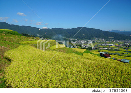 秋の姨捨の棚田 秋の姨捨の棚田 57635063