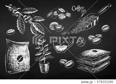Chalk drawn collection of coffee items Chalk drawn collection of coffee items 57635200