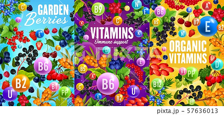 Vitamins and natural berries, super food Vitamins and natural berries, super food 57636013