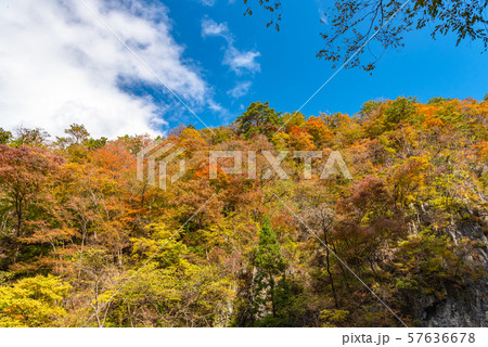 猊鼻渓 秋 紅葉 一関市 岩手県 舟下りの旅の写真素材
