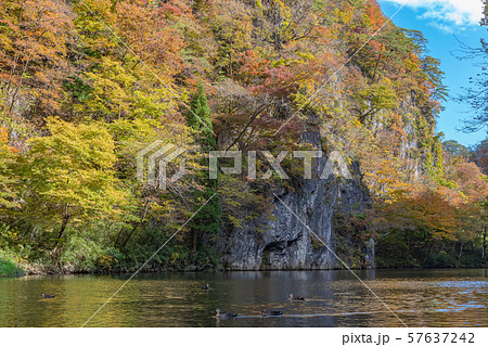 猊鼻渓　秋　紅葉　一関市　岩手県　舟下りの旅 57637242