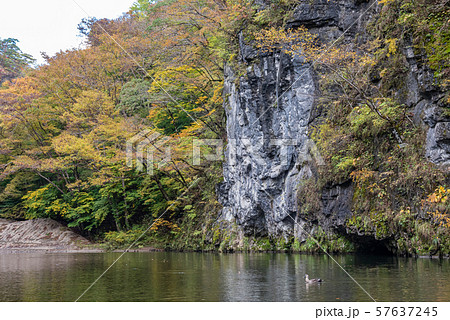 猊鼻渓 秋 紅葉 一関市 岩手県 舟下りの旅の写真素材