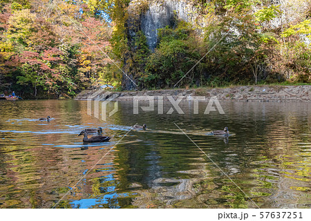 猊鼻渓 秋 紅葉 一関市 岩手県 舟下りの旅 猊鼻渓 秋 紅葉 一関市 岩手県 舟下りの旅 57637251