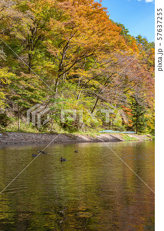 猊鼻渓 秋 紅葉 一関市 岩手県 舟下りの旅の写真素材