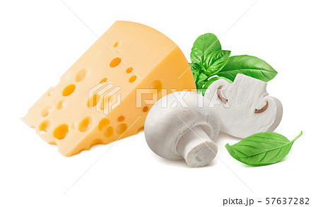 Mushrooms, basil and cheese isolated on white Mushrooms, basil and cheese isolated on white 57637282