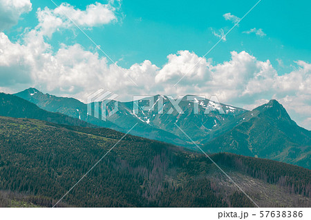 Panorama of beautiful countryside. sunny Panorama of beautiful countryside. sunny 57638386