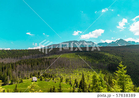 Panorama of beautiful countryside. sunny 57638389