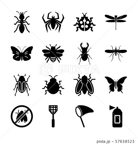 insect solid icons insect solid icons 57638523