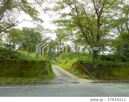 御前原城跡 57639311