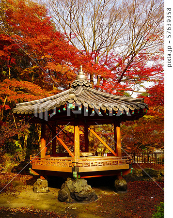 紅葉谷公園（山口県：岩国） 57639358