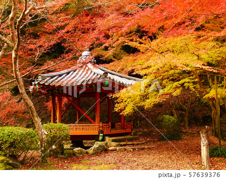 紅葉谷公園（山口県：岩国） 57639376