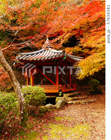 紅葉谷公園（山口県：岩国） 57639381