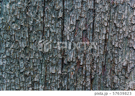 Cracking and peeling paint on a wall 57639823