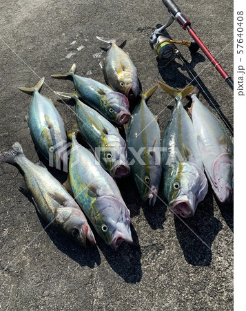 Tubasu fishing with light shore jigging lure  57640408