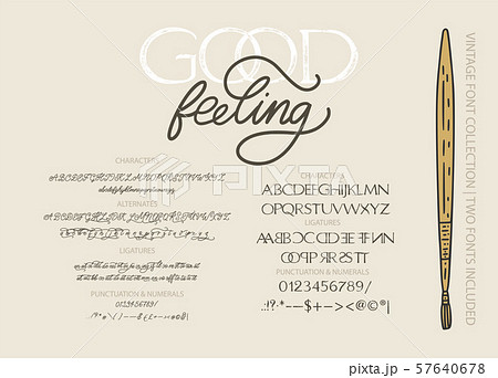 Hand drawn vector font. 57640678