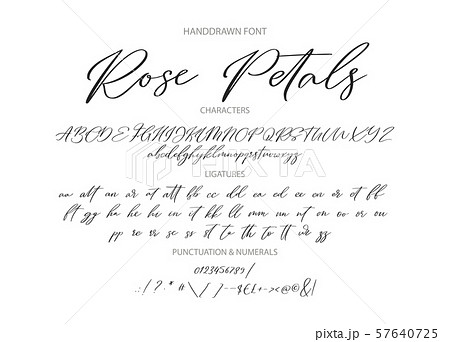 Hand drawn vector font. Hand drawn vector font. 57640725