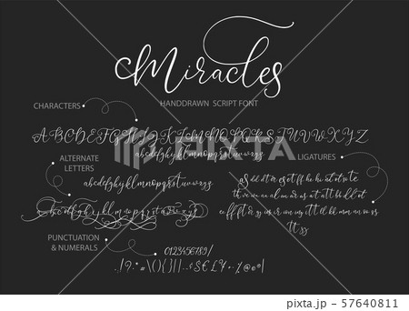 Hand drawn vector alphabet with letters. 57640811