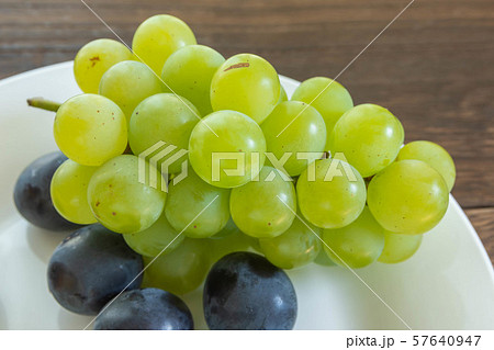 ナイアガラ 57640947