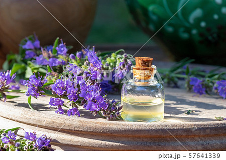A bottle of essential oil with hyssop flowers A bottle of essential oil with hyssop flowers 57641339