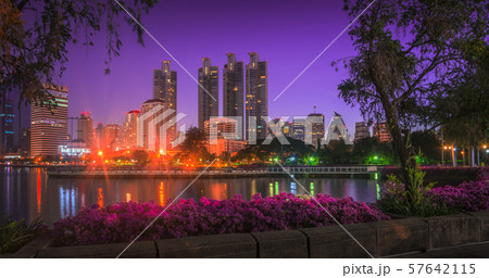 Lake in City Park under Skyscrapers at Night 57642115
