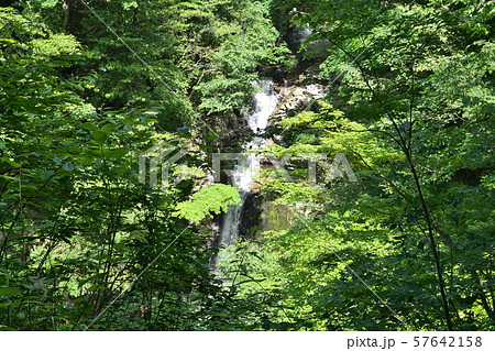 《鳥取県》芦津渓谷 57642158
