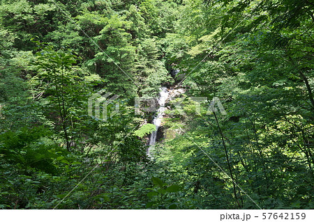 《鳥取県》芦津渓谷 57642159
