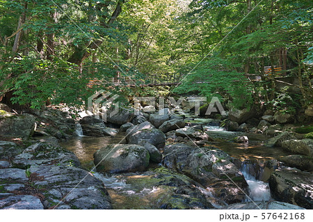 《鳥取県》芦津渓谷 57642168