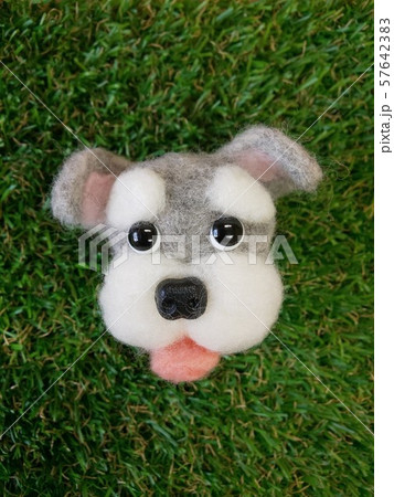 羊毛フェルトのミニチュアシュナウザー 57642383