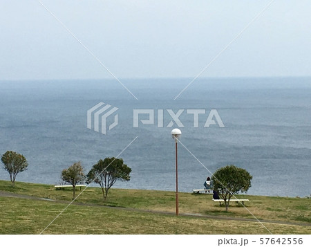 海 公園 景色 57642556