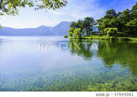 夏の沼沢湖湖畔１ 57643001
