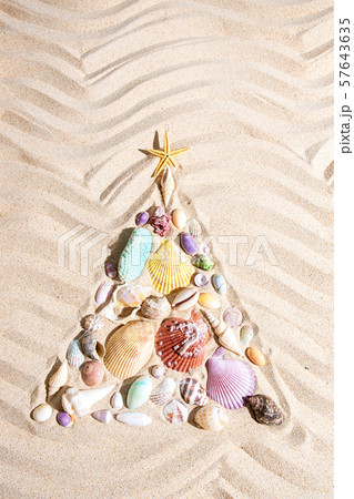 Christmas tree made from shells and corals on sand 57643635