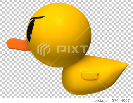 Duck 57644007