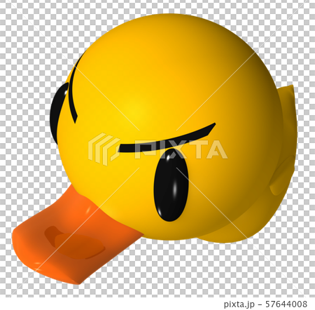Duck 57644008