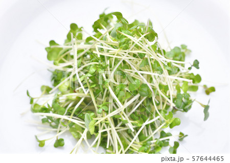 野菜、ブロッコリースプラウト、ブロッコリーの新芽。 野菜、ブロッコリースプラウト、ブロッコリーの新芽。 57644465