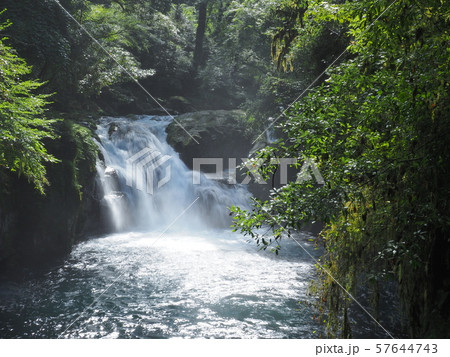 菊池渓谷 kikuchi gorge 菊池渓谷 kikuchi gorge 57644743