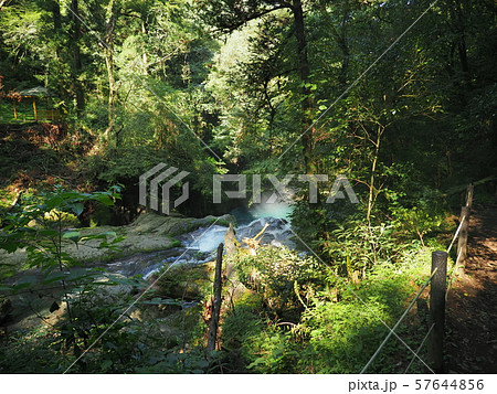 菊池渓谷 kikuchi gorge 菊池渓谷 kikuchi gorge 57644856