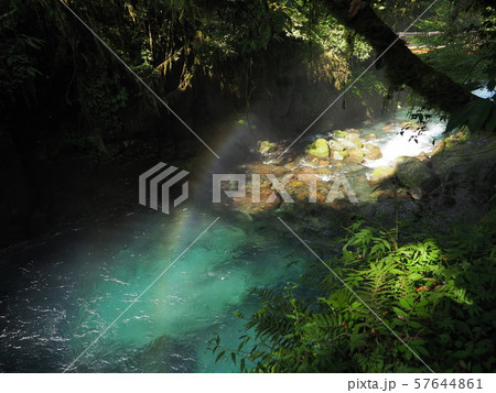 菊池渓谷 kikuchi gorge 菊池渓谷 kikuchi gorge 57644861