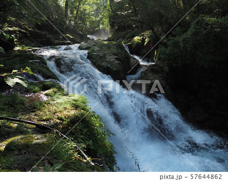 菊池渓谷 kikuchi gorge 菊池渓谷 kikuchi gorge 57644862