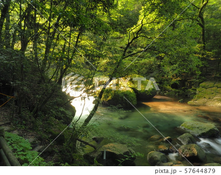 菊池渓谷 kikuchi gorge 菊池渓谷 kikuchi gorge 57644879