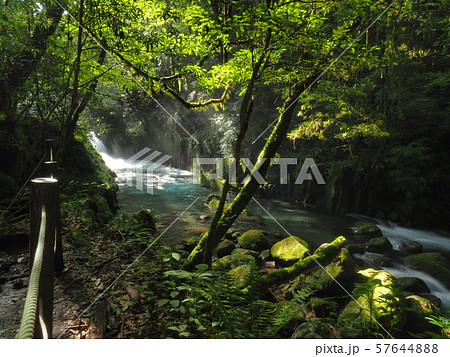菊池渓谷 kikuchi gorge 菊池渓谷 kikuchi gorge 57644888