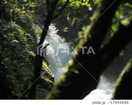 菊池渓谷 kikuchi gorge 菊池渓谷 kikuchi gorge 57644896