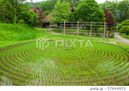 飛騨の車田 57644953