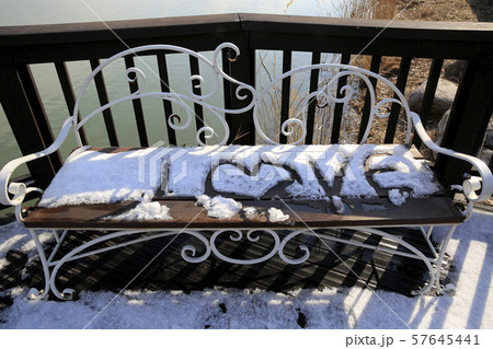 ベンチュウィ 目 冬 57645441