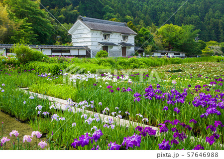 菖蒲園の風景 57646988