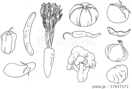 野菜 寄せ集め 手描き アナログイラストセット 線画付き のイラスト素材