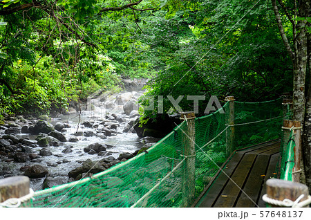 雨の獅子ヶ鼻湿原 秋田県 雨の獅子ヶ鼻湿原 秋田県 57648137