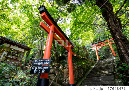 柳谷観音楊谷寺 57648471