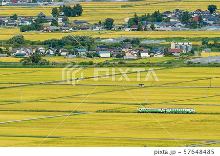 黄金色の田園地帯と只見線の列車　福島会津美里 57648485
