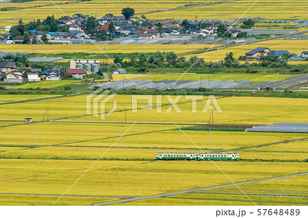 黄金色の田園地帯と只見線の列車　福島会津美里 57648489