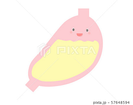 元気な胃液のある胃 キャラクターのイラスト素材